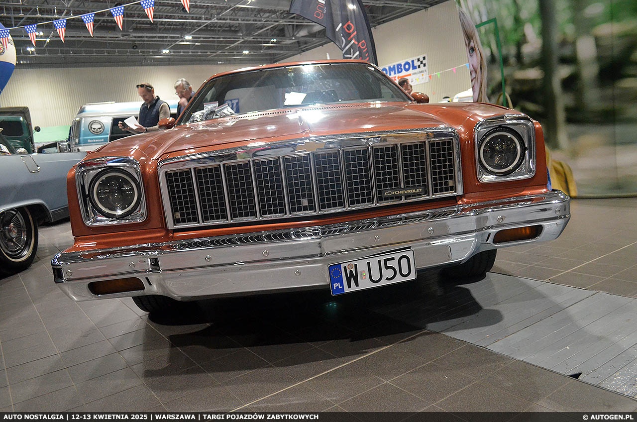Auto Nostalgia 2025 - fotorelacja | Zdjęcie #61