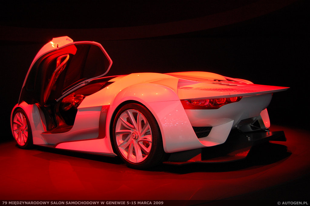 79 Salon Samochodowy w Genewie / Geneva Motor Show | Zdjęcie #731