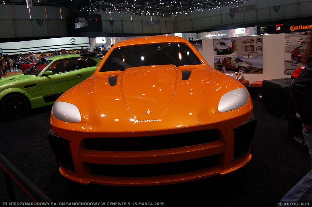 79 Salon Samochodowy w Genewie / Geneva Motor Show | Zdjęcie #803