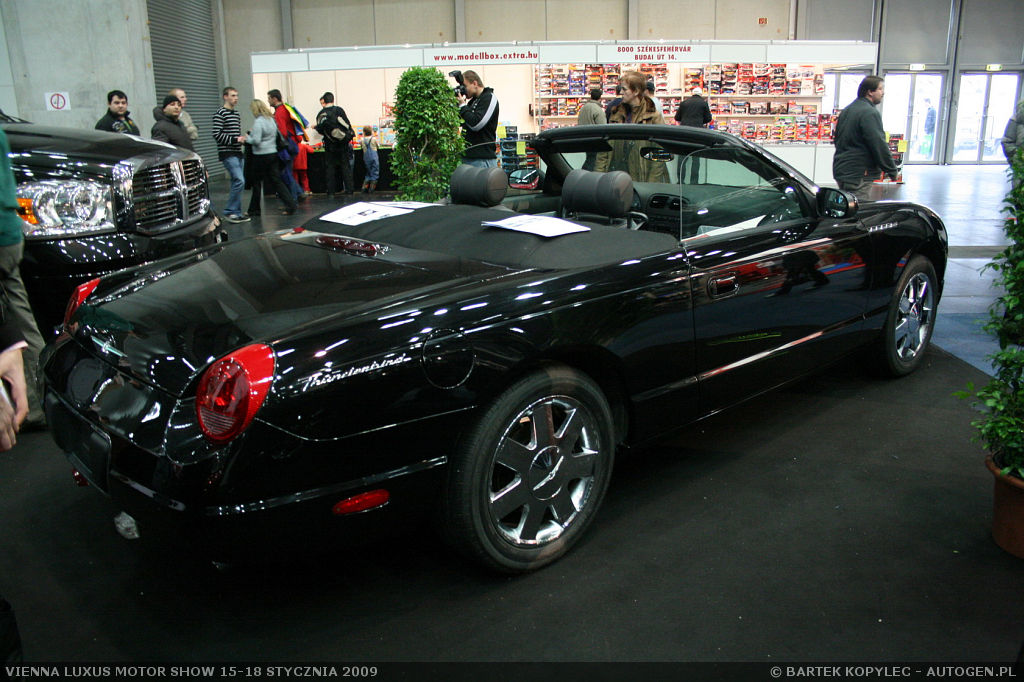 Vienna Luxus Motor Show 2009 - fotorelacja | Zdjęcie #338