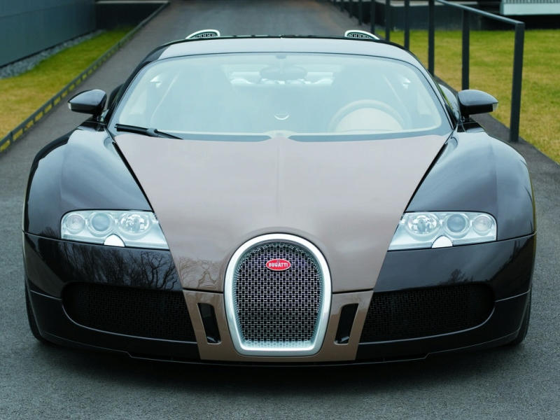Bugatti Veyron Fbg par Hermes | Zdjęcie #7