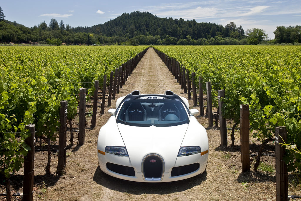 Bugatti Veyron Grand Sport | Zdjęcie #62