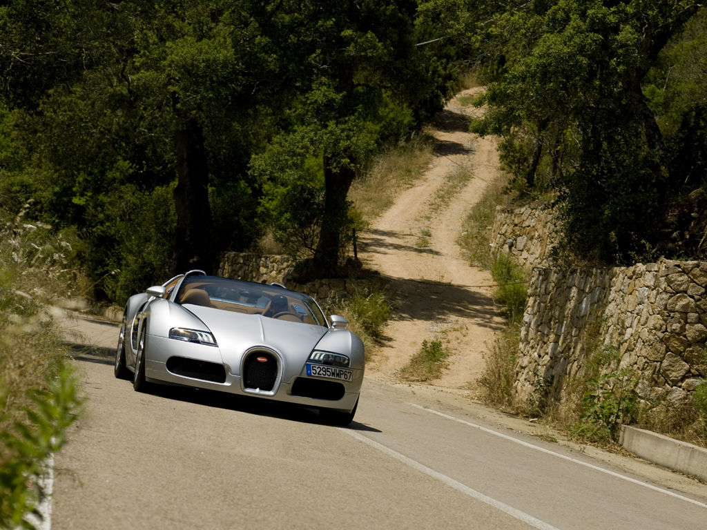 Bugatti Veyron Grand Sport | Zdjęcie #87