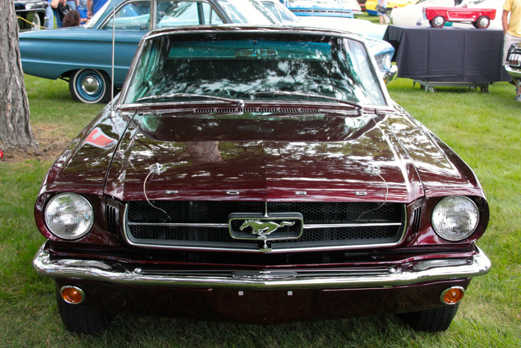 Ford Mustang Shorty | Zdjęcie #5