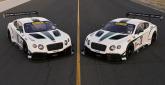 Bentley Continental GT3 - Zdjęcie 14