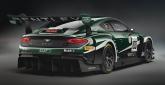 Bentley Continental GT3 - Zdjęcie 12