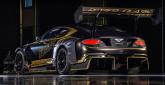 Bentley Continental GT3 Pikes Peak - Zdjęcie 4
