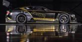 Bentley Continental GT3 Pikes Peak - Zdjęcie 8