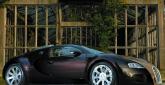 Bugatti Veyron Fbg par Hermes - Zdjęcie 3