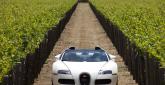 Bugatti Veyron Grand Sport - Zdjęcie 63