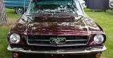 Ford Mustang Shorty - Zdjęcie 5