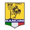 Grafika z logo Bandini
