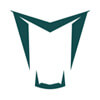 Grafika z logo Brabham