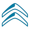 Grafika z logo Citroen