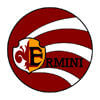 Grafika z logo Ermini