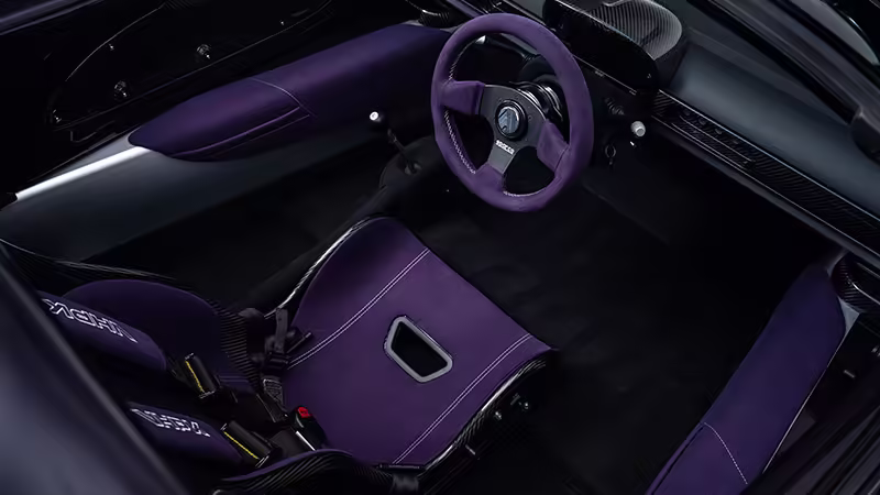 Zdjęcie Analogue Elise VHPK
